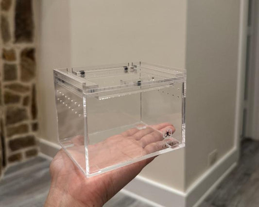 Tarantula Cribs slider crib mini 4"x 3"x 3" LOCAL PICKUP ONLY