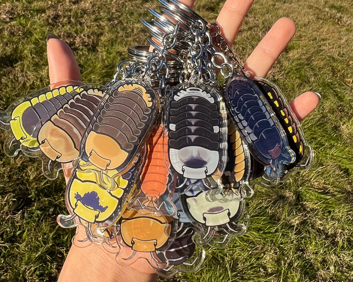 Isopod acrylic keychain – Buddha Bugs Isopod acrylic keychain – Buddha Bugs