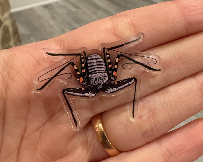 Gray Ghost Creations tarantula pin