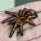 GrayGhostCreations tarantula pin