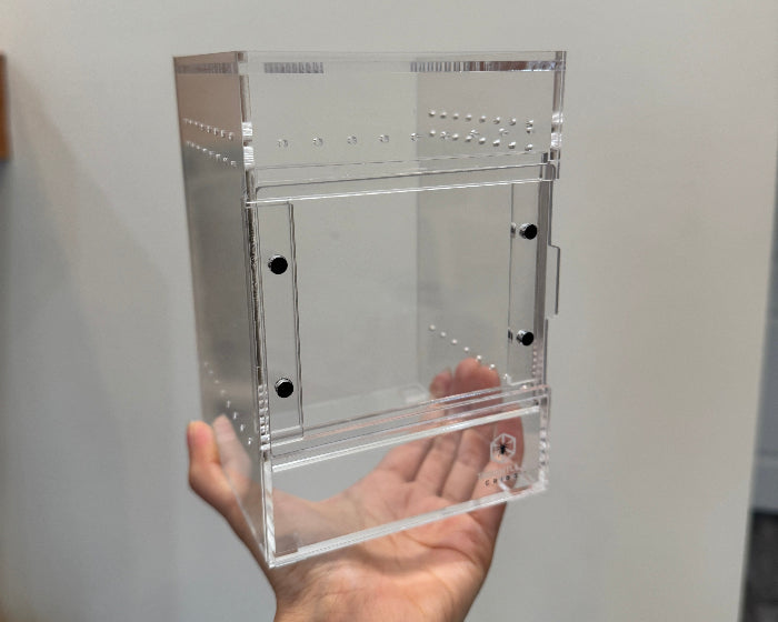 Tarantula Cribs small treehouse 4"x 4"x 6" LOCAL PICKUP ONLY