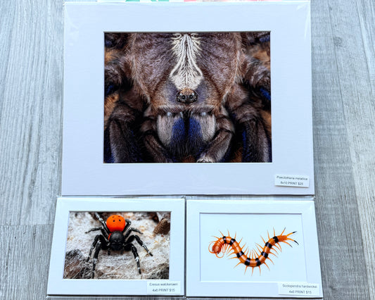 Photography art prints