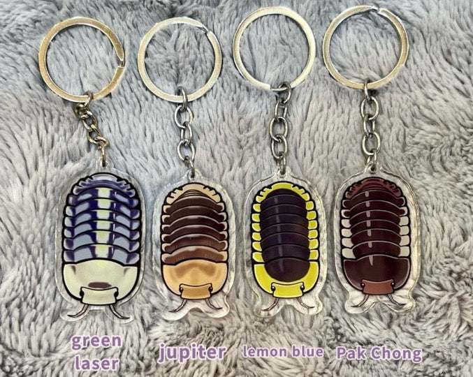 Isopod acrylic keychain