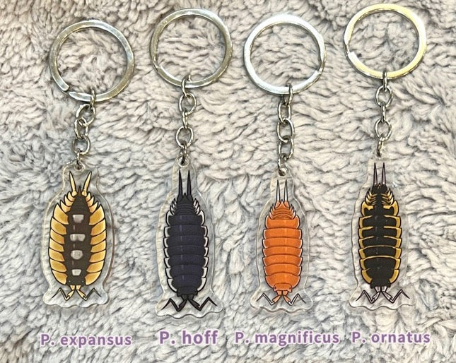 Isopod acrylic keychain